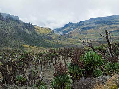 Caldera rim by Stuart cohen