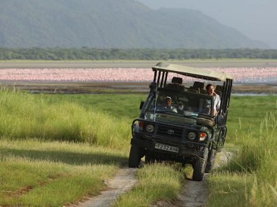 Lake Manyara National Park - andbeyond Lake Manyara tree lodge game drive Tanzania