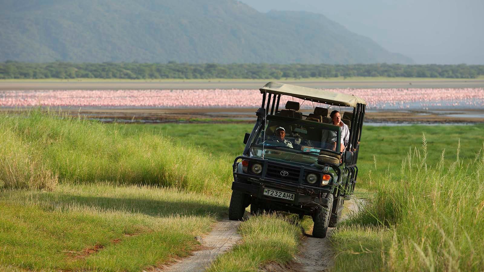 Lake Manyara National Park - andbeyond Lake Manyara tree lodge game drive Tanzania