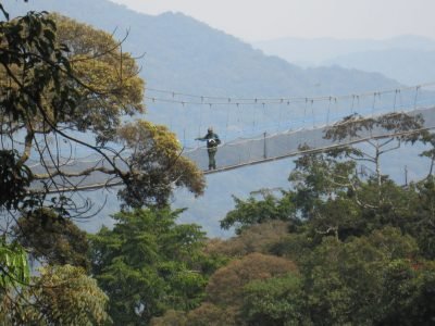 Rwanda - Nyungwe National Park Canopy Walk by jim seyler