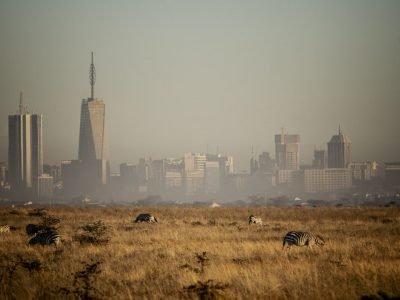 Nairobi National Park zebras and city backdrop