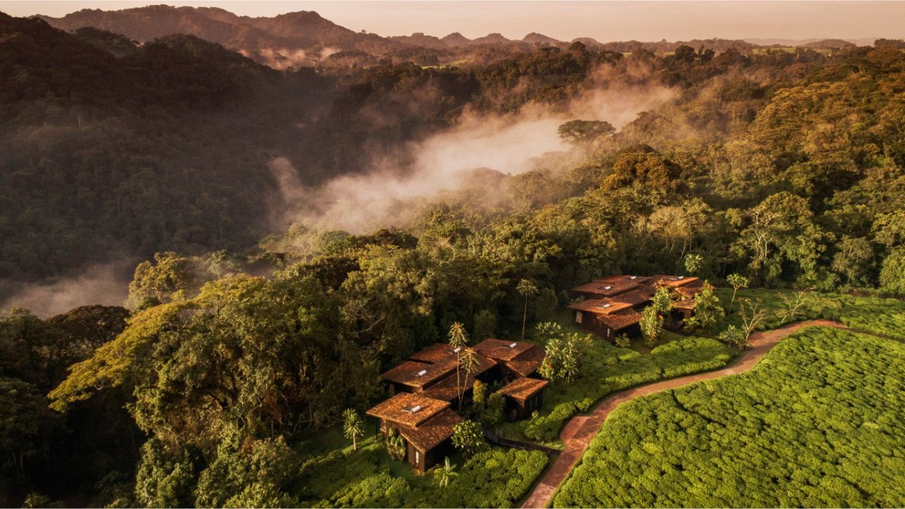 Lodge overlooking Nyungwe forest
