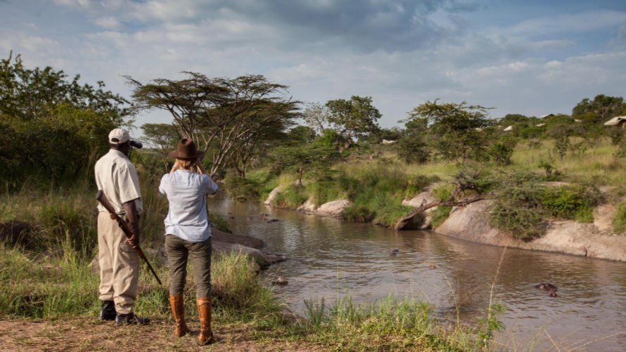 Elewana Serengeti Migration Camp walking safari | Travel Insurance