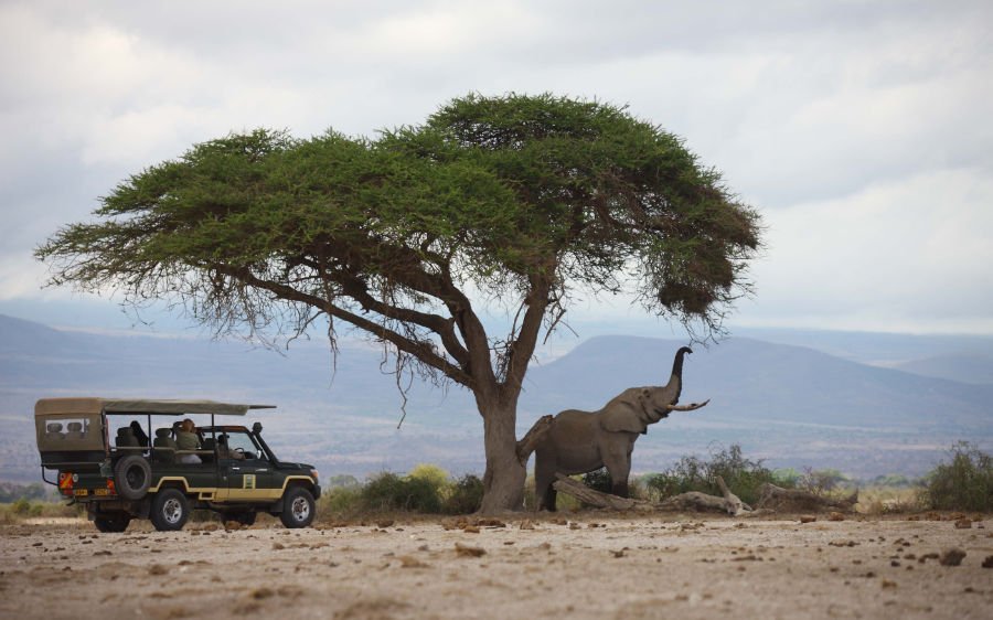 Amboseli National Park, Tortilis Camp game drive to see elephants